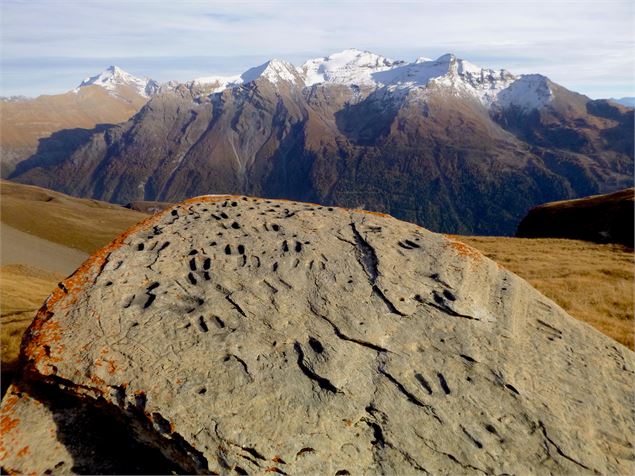 VISITE EN JOURNÉE DES ROCHES GRAVÉES_Val-Cenis - Christian Vair
