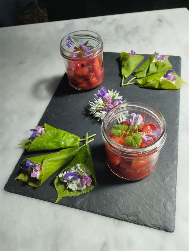 plantes sauvages comestibles - Sevestre Carine