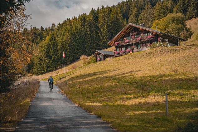 Balade Gourmande en E-Bike