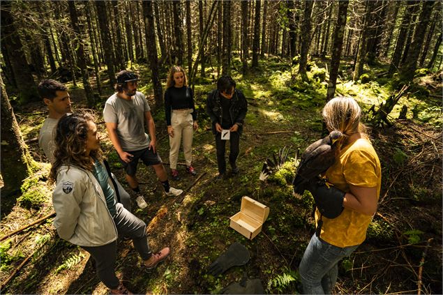 Dans la peau d'un fauconnier - Châtel Tourisme