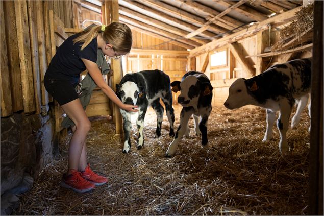 Visite de la Ferme Les Noisetiers - EARL Les Noisetiers