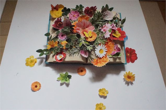 Exposition : Germinations_Aillon-le-Jeune - La Chartreuse d'Aillon