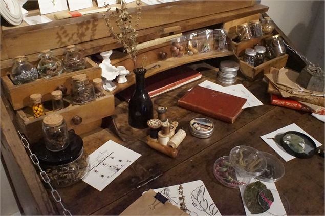 Exposition : Germinations_Aillon-le-Jeune - La Chartreuse d'Aillon