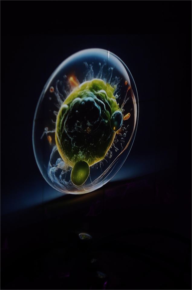 Exposition : Germinations_Aillon-le-Jeune - La Chartreuse d'Aillon