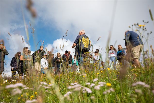 Balade Plantes médicinales_Les Gets - les gets tourisme
