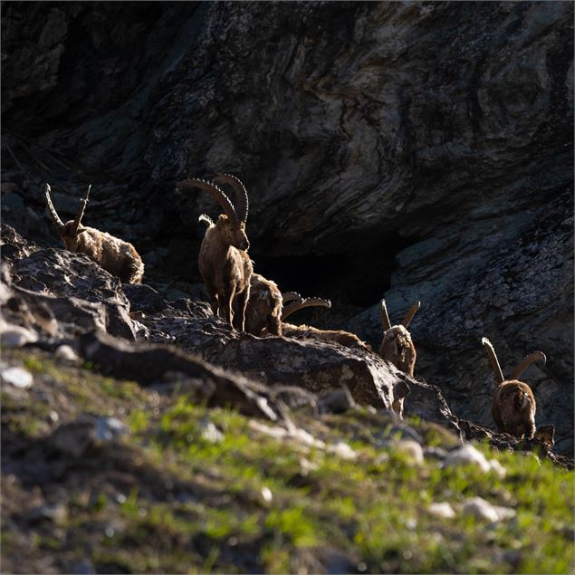 Concours photo : exposition & projection_Champagny-en-Vanoise - Peintre montagne