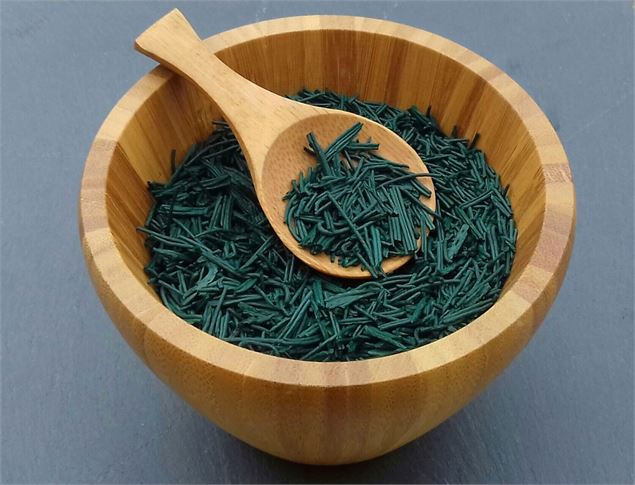 Spiruline des Bauges - Spiruline des Bauges