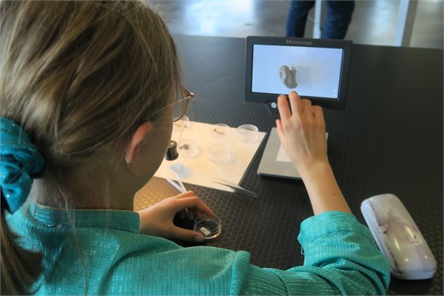 Une enfant observant des graines au microscope - La Turbine sciences