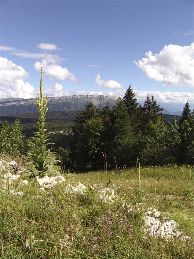 visiteguideegroupepnrbaugesaixlesbainsrivieradesalpes - OTAIXLESBAINS_G_Lansard