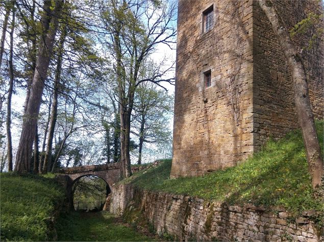 Chateau de Coligny - S CALLAND