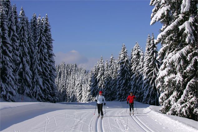 ski_de_fond - jl_chauveau