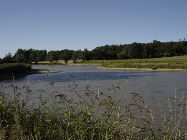 plan d'eau La Rousse du Vieux Jonc