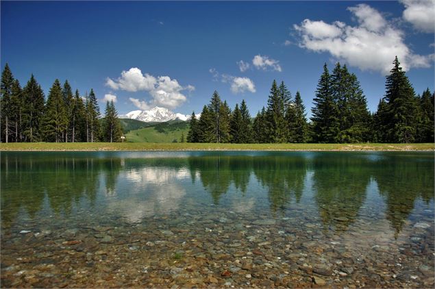 Plan d'eau du Mont Lachat - Site de pèche - JP Noisillier - nuts.fr