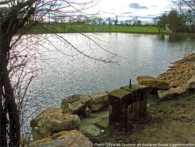 Etang-de-Barvay-7-St-Denis-Office-de-Tourisme-de-Bourg-en-Bresse-lt - Office de tourisme de Bourg-en