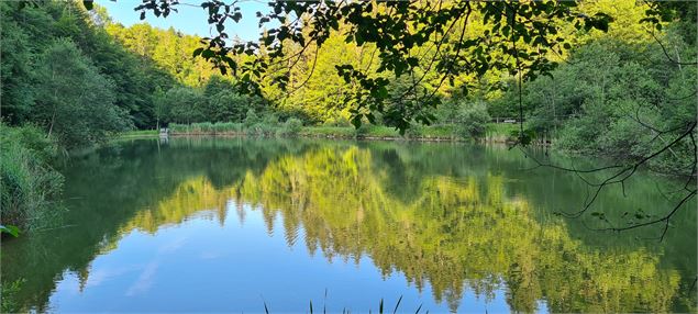 Lac Crossetaz Habère-Lullin - VS-OT Alpes du Léman