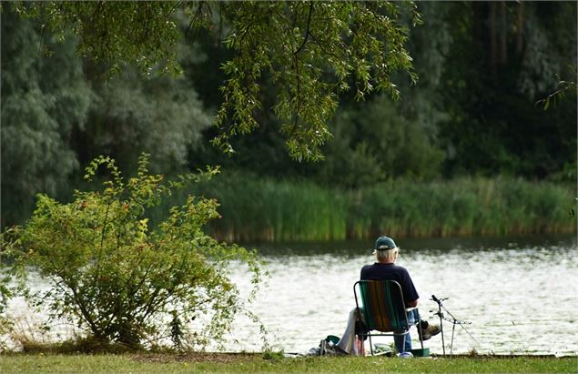 Pêche au bord du lac - Pixabay