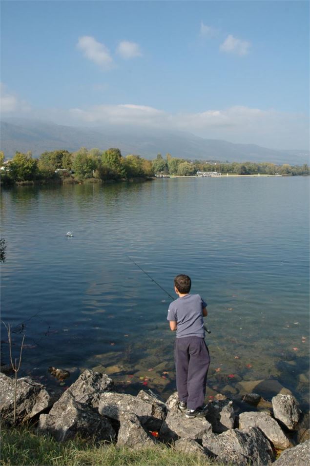 Pêche dans le lac de Divonne