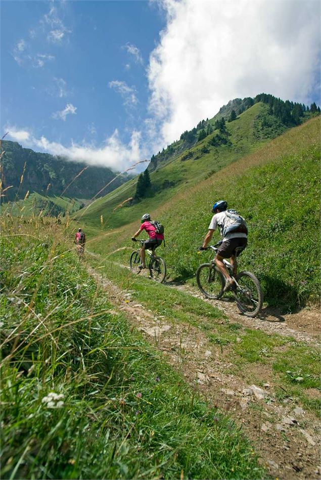 Montée aprés la chapelle de Graydon - Yvan Tisseyre/OT Vallée d'Aulps