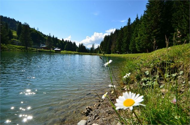 Lac du Plan Dessert à Notre Dame de Bellecombe - Office de Tourisme du Val d'Arly