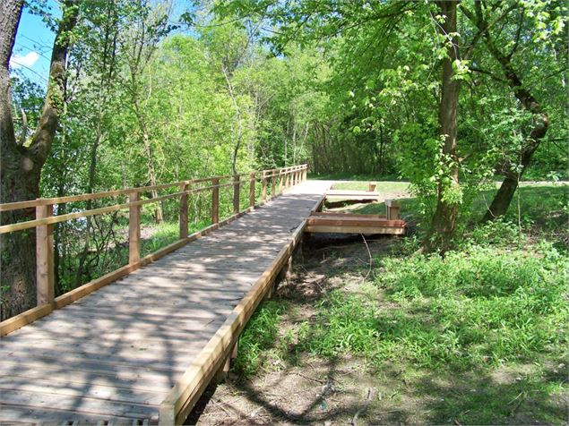 Ponton de pêche à Saint-Bernard - Communauté de Communes Dombes Saône Vallée