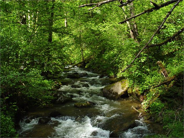 Pêche en lac et riviére