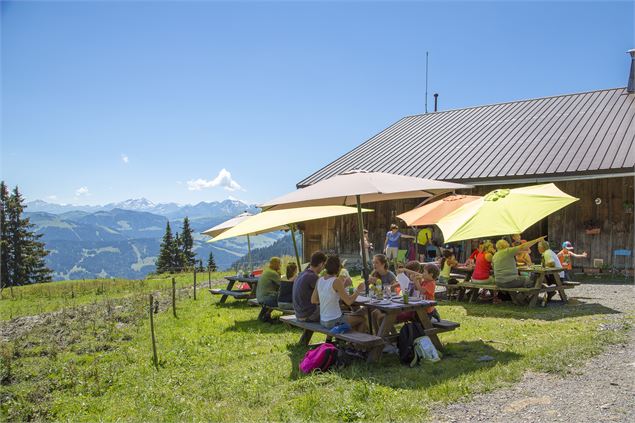 Terrasse du plan de l'Are - OT Praz sur Arly