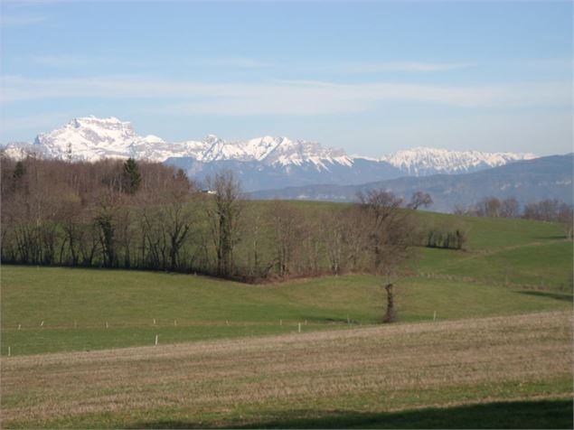 VTT Le vieux four Vaulx - Marchisio Claude
