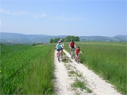 Circuit 9 - Les Châtaigneraies (centre VTT-FFC de l'Albanais)