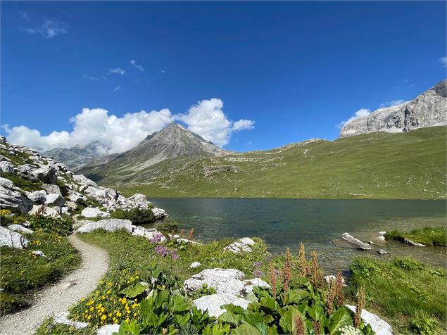 Lac de la plagne - Caroline Luc