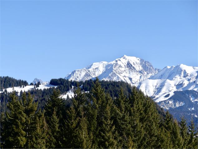Vue Mont-Blanc - OT Flumet / ST Nicolas la Chapelle