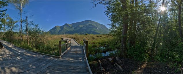 sentier sur pilotis - Maison du Marais