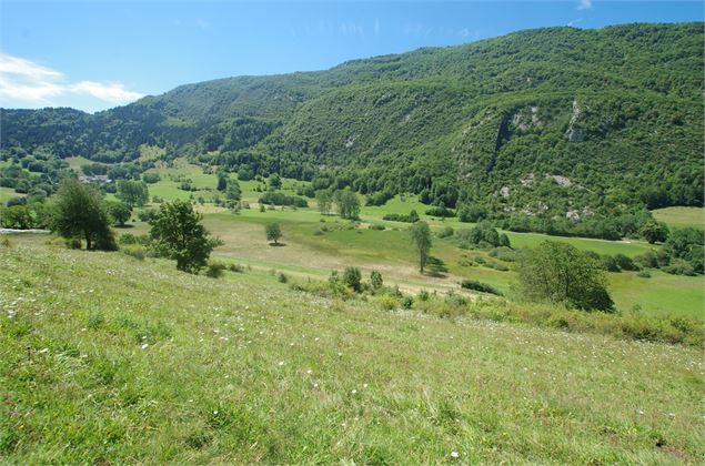 Le marais de Nécuidet - Frédéric Biamino CEN