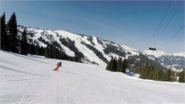 Arnica. Piste rouge sur le secteur des Chavannes