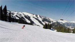 Arnica. Piste rouge sur le secteur des Chavannes - SOLEGETS