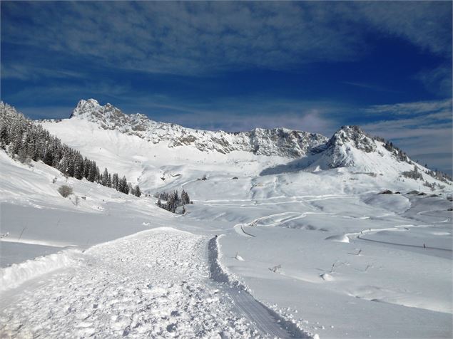 Piste piétonne de Farquet - Praz de Lys Sommand Tourisme