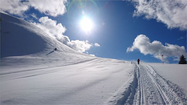 Roche-Pallud - Praz de Lys Sommand Tourisme