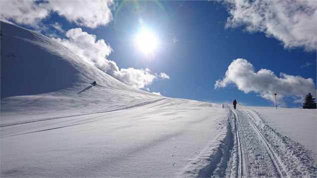 Roche-Pallud - Praz de Lys Sommand Tourisme