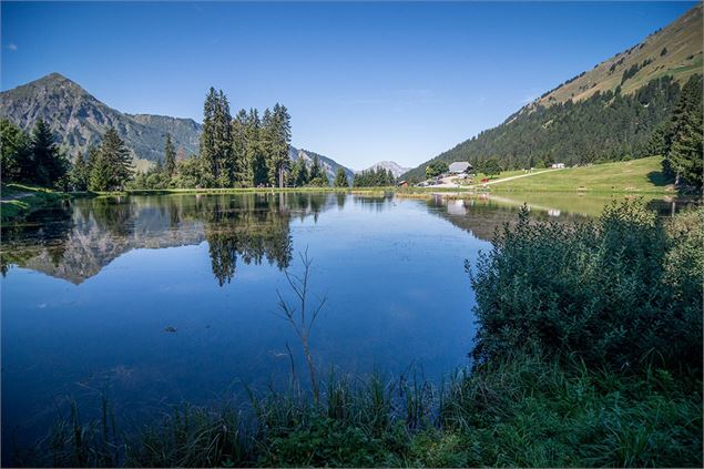 Lac des Mines d'Or (Geopark Chablais) - SIAC. Photographe A.Berger