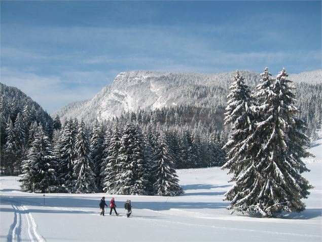 Circuit raquettes - Office de tourisme des Entremonts