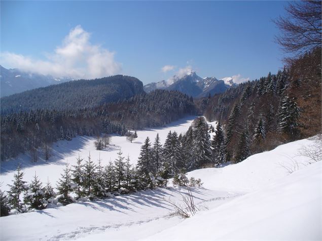 La Cochette en raquettes - Office de tourisme des Entremonts