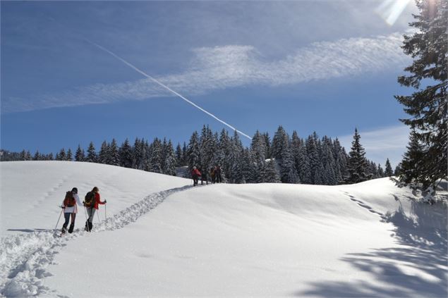 Raquettes - Chalet de la Hulotte