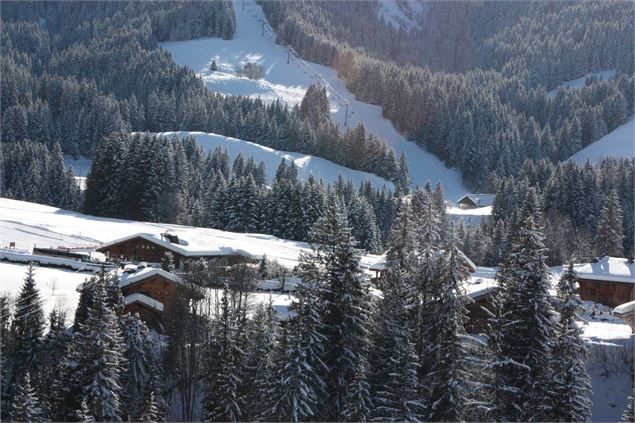 chalets_sapins - mairie_de_megeve