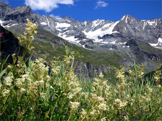 fond de vallée les Bettières - mnpc