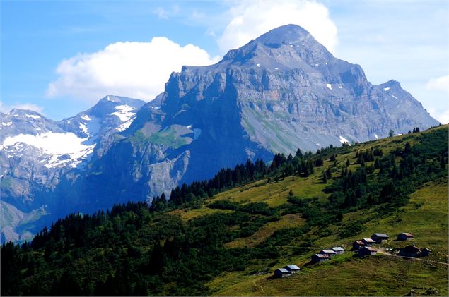 Chalets de Commune avec Tenneverge - Laurent Vriez