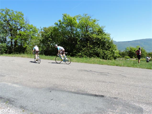 Circuit du Mont Tournier - Belley Bugey Sud Tourisme