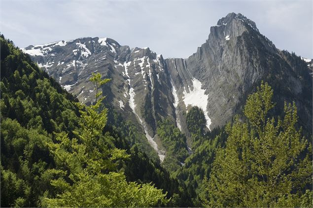 Les rayés du Pécloz - PNR du Massif des Bauges