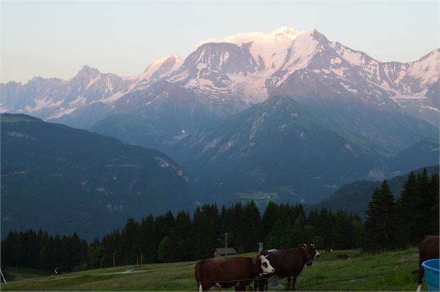 vue depuis la Ferme de l'Avenaz - Saint-Gervais Mont-Blanc - P. Gaiddon