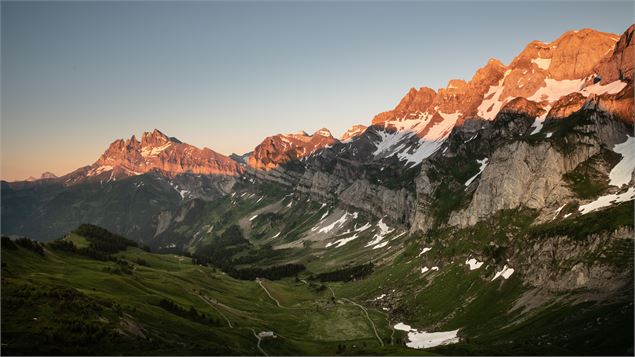 Le Centre ornithologique du Col de Bretolet - Litescape Media