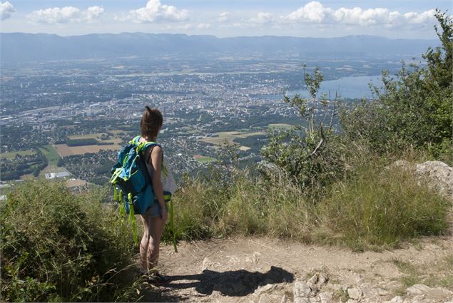 point de vue observatoire - Genevois Tourisme