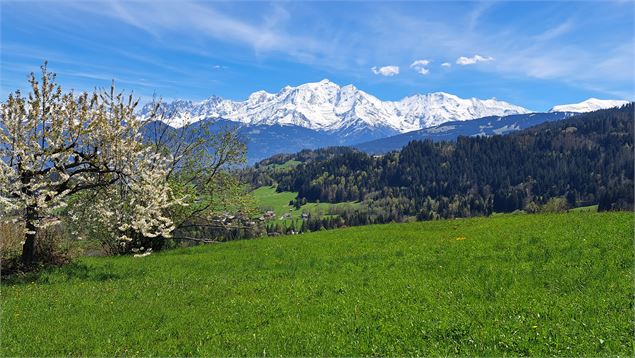 Vue sur le Mont-Blanc, depuis les hauteurs de Cordon - © Cordon Tourisme